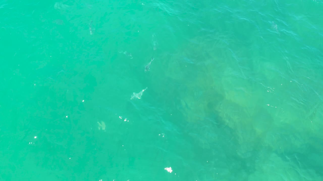 A top-down view of green-blue water in Laguna Beach, Baja California Sur, shows muted submerged shapes under the surface and no visible people.