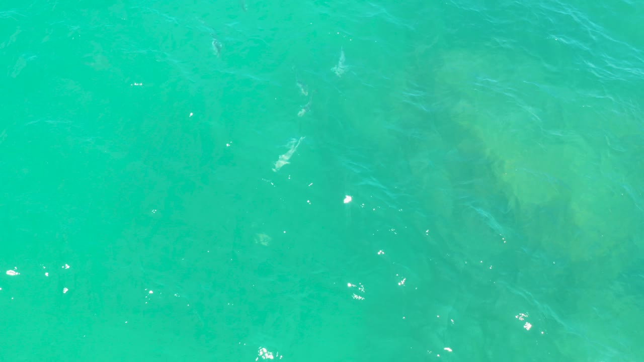 Turquoise ocean water with submerged dark shapes and small sun glints.