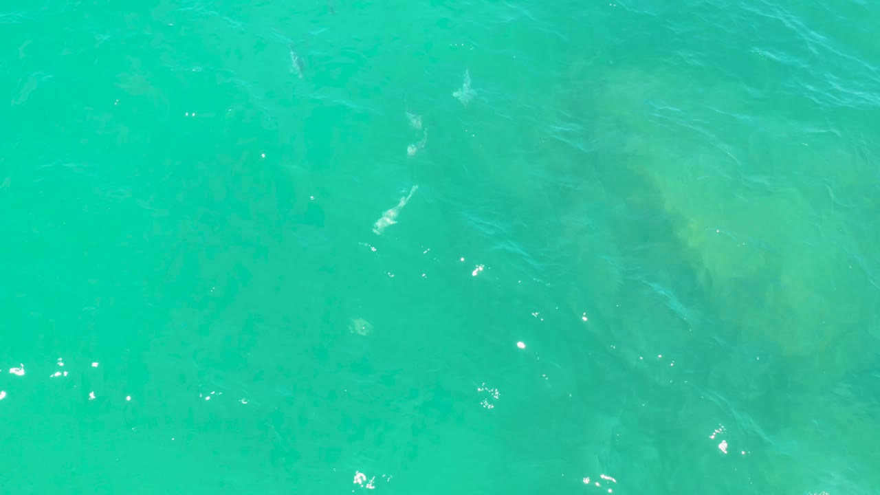 Clear blue-green ocean water fills the frame at Laguna Beach, Baja California Sur, with darker underwater patches softened by surface ripples and no visible people.
