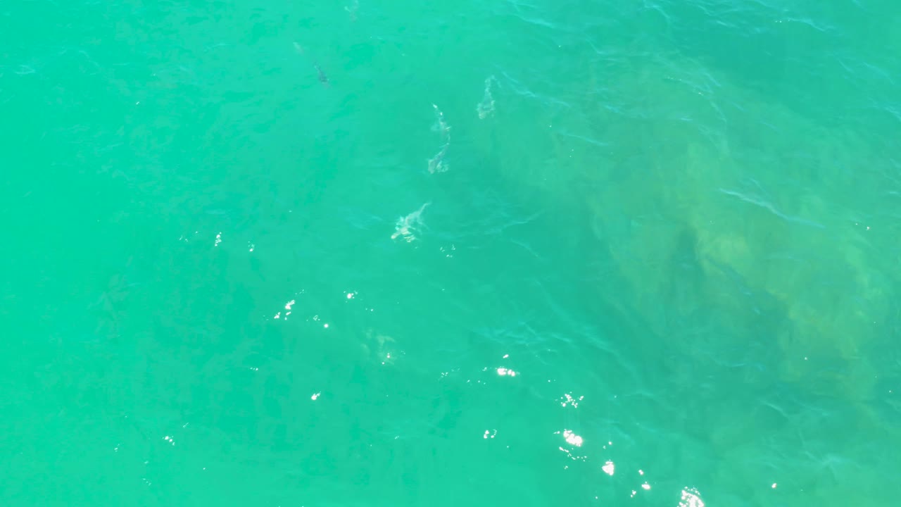Bright turquoise water at Laguna Beach, Baja California Sur, shows scattered white sun reflections over faint seabed forms, with no visible people.
