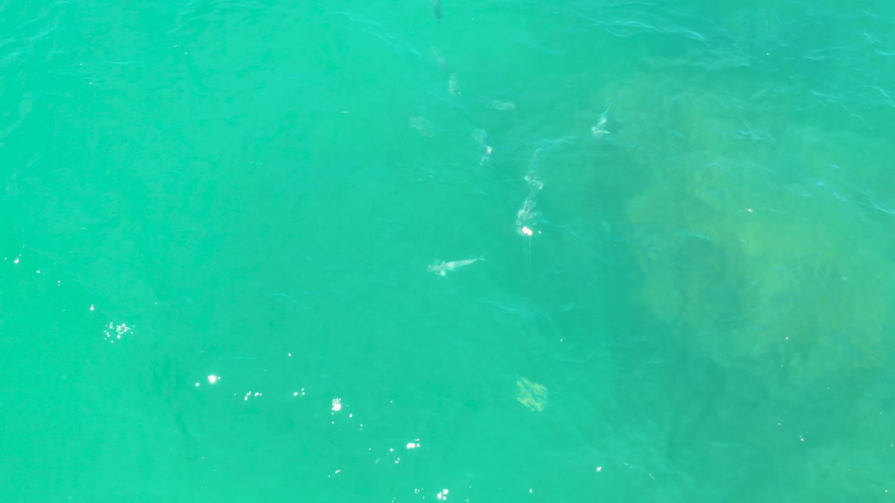 Overhead turquoise seawater in Laguna Beach, Baja California Sur, with faint silver fish beneath the surface, soft ripples, and no visible people.