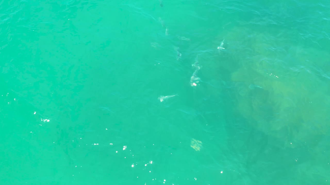Turquoise water fills the frame in Laguna Beach, Baja California Sur, with a few pale fish shapes, bright surface reflections, and no visible people.