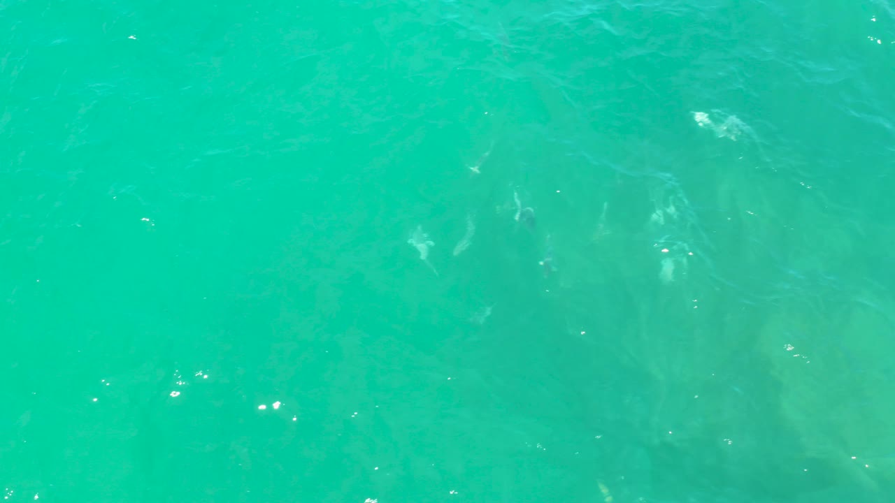 Turquoise water in Laguna Beach, Baja California Sur fills the frame from above, with faint submerged shapes and no visible people.