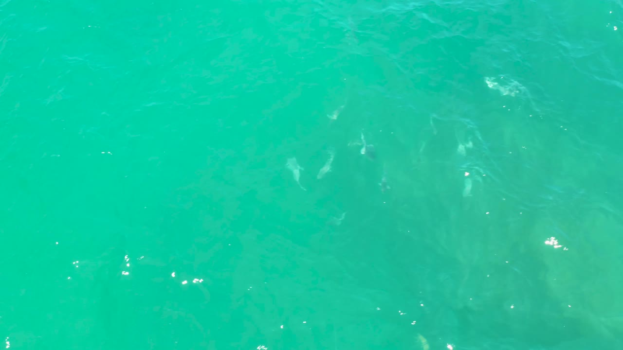 Green-blue coastal water shows scattered bright reflections and darker underwater patches, with no visible people in the frame.