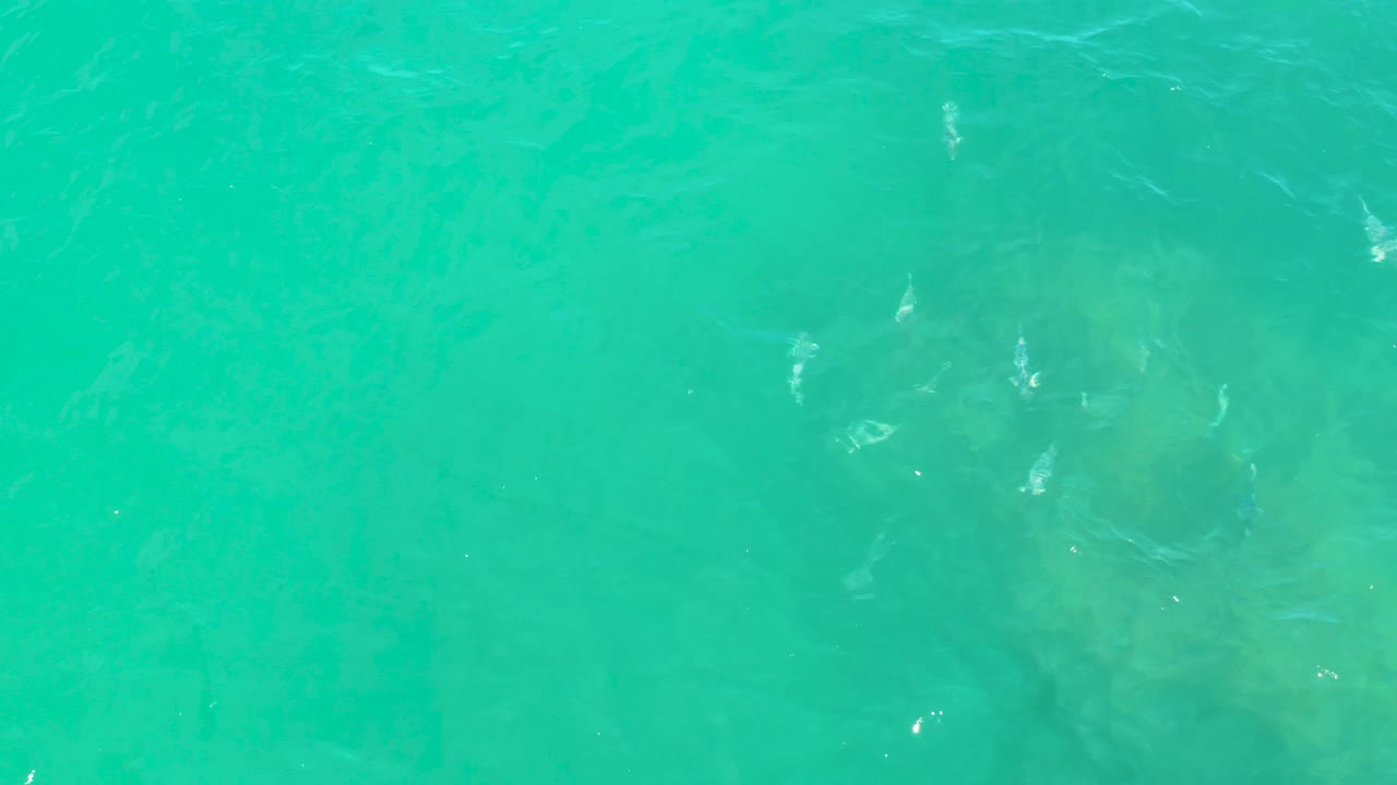 Aquamarine water covers the full frame, with faint fish-like forms and pale glints visible under the moving surface, and no visible people.