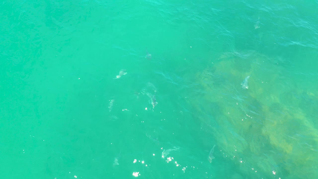 Top-down view of turquoise seawater in Laguna Beach, Baja California Sur, with faint submerged sand or rock patches and no visible people.