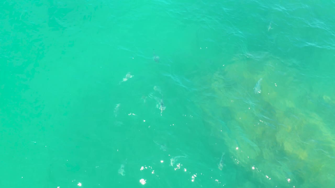 Aqua sea surface viewed from above in Laguna Beach, Baja California Sur, with a pale underwater patch near center and no visible people.