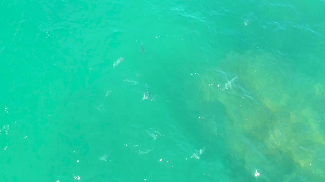 Overhead turquoise sea in Laguna Beach, Baja California Sur, with diffuse submerged color on the right side and no visible people.