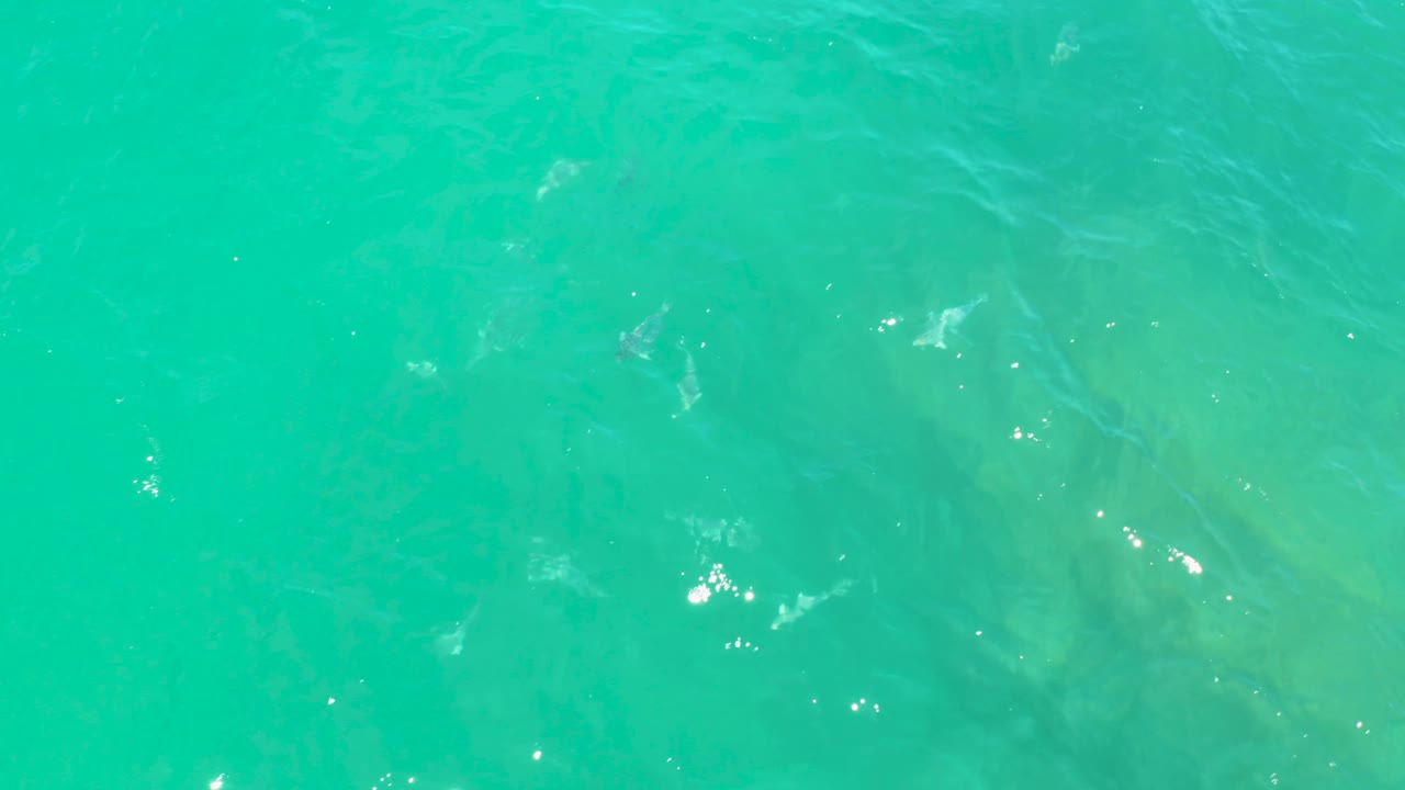 Top-view shallow turquoise water in Laguna Beach, Baja California Sur, with subtle wave streaks and no visible people or objects.