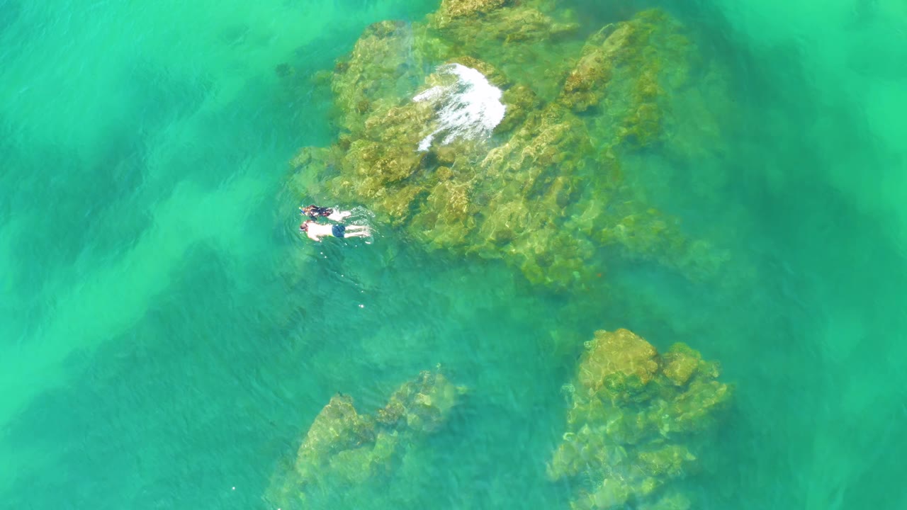 Overhead view of swimmers and submerged reef in green water