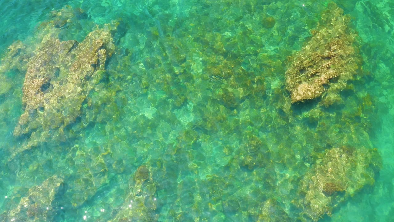 Sunlit turquoise water at Palmilla Beach covers pale rocks and darker seabed patches, with no shoreline, boats, or visible people in frame.