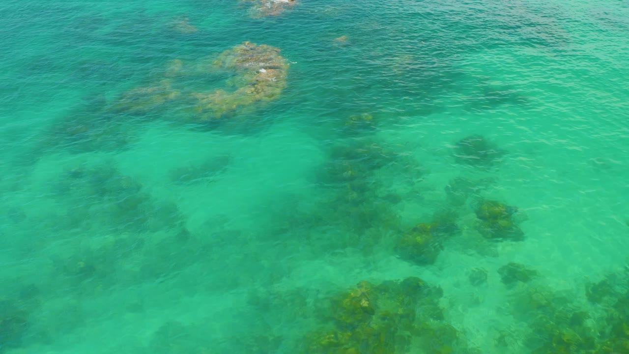 A larger mossy reef shape sits near the upper frame in clear green-blue water at Palmilla Beach, with darker submerged rocks below and no visible people.
