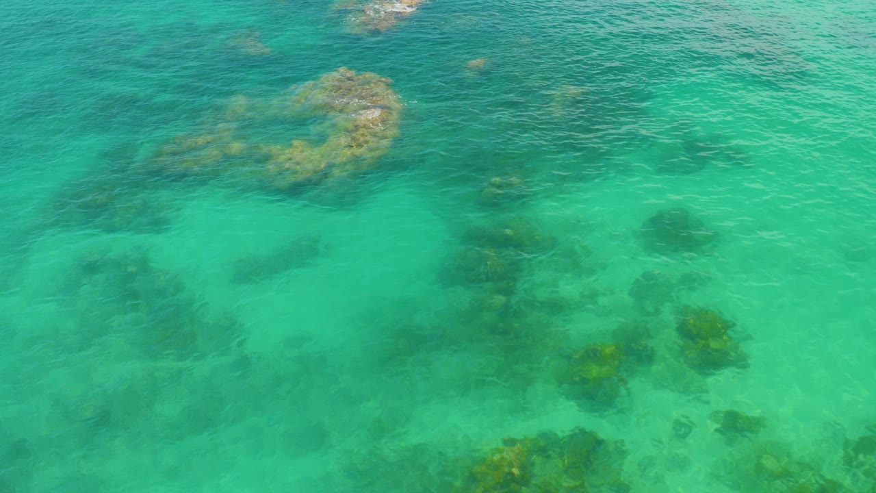 Aqua water fills the frame at Palmilla Beach, with scattered dark underwater rock clusters and a pale sandy bottom visible through the surface, no visible people.