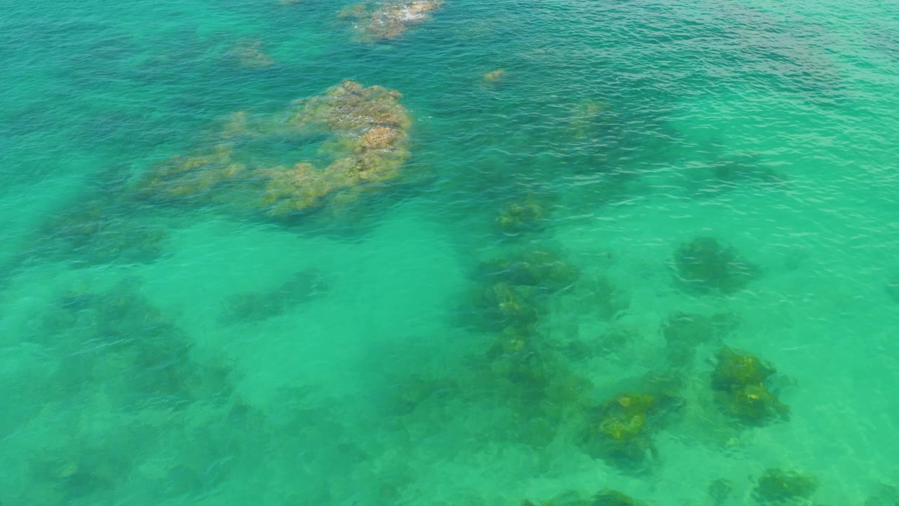 The overhead view at Palmilla Beach places the mossy reef in the upper left area, with darker submerged rocks lower in the clear turquoise water and no visible people.