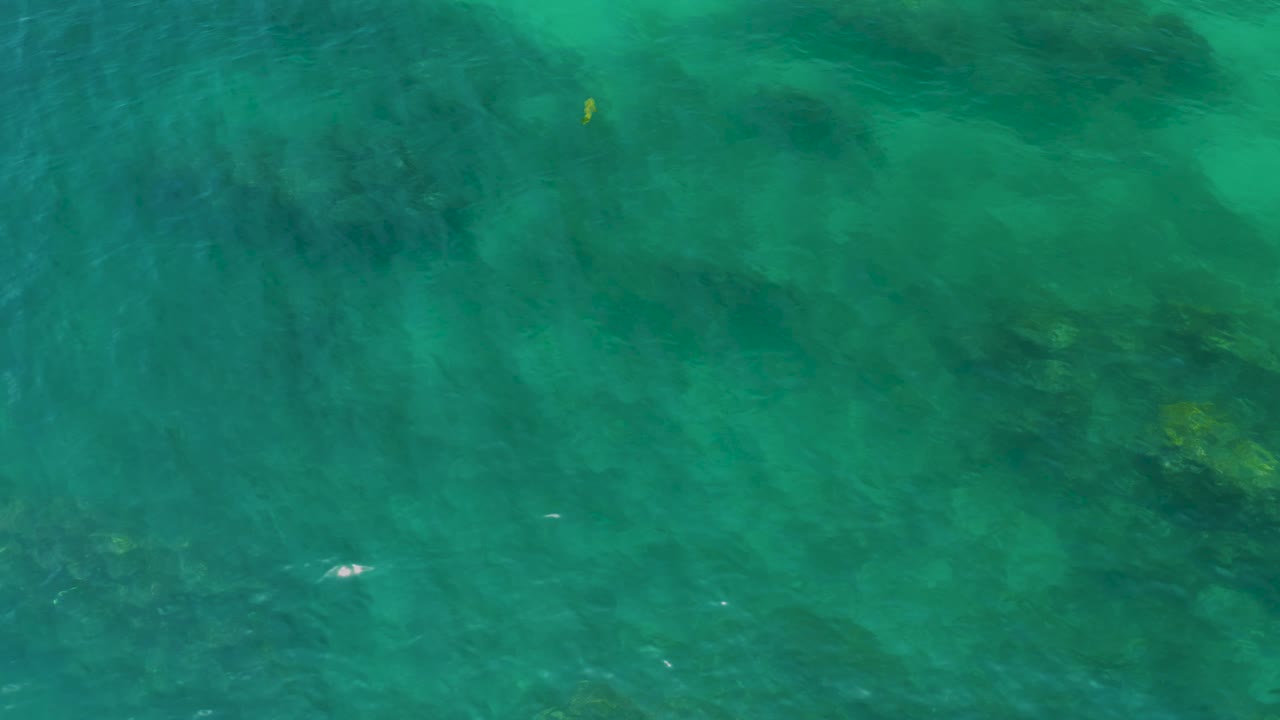 Overhead view of green-turquoise seawater at Palmilla Beach, Baja California Sur, with dark algae patches beneath ripples and no visible people.