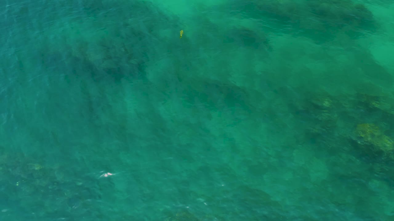 Green shallow seawater at Palmilla Beach shows darker algae forms below the surface and a tiny pale fish shape near the ripples, with no visible people.