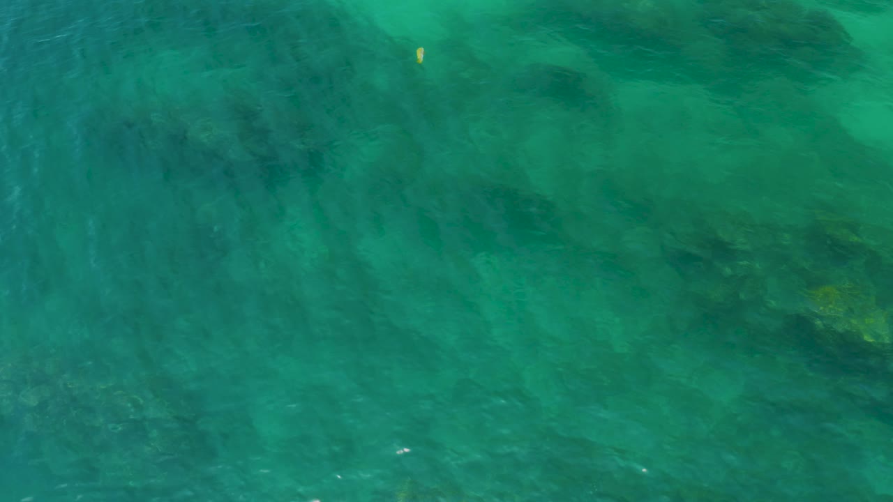Turquoise seawater at Palmilla Beach contains submerged dark algae patches and a small yellow fish-like mark near the upper edge, with no visible people.