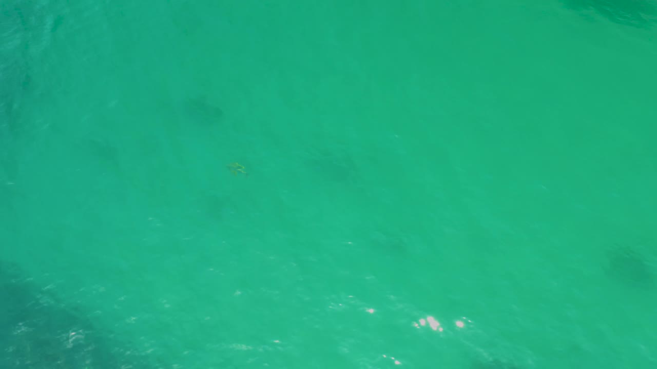 Green coastal water at Palmilla Beach shows a darker vertical underwater area through the center and no visible people.