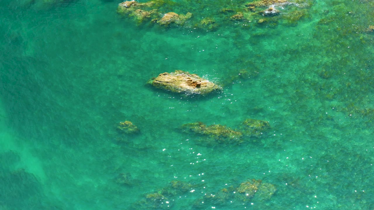 Overhead view at Palmilla Beach, Baja California Sur, showing green water, a tan rock near center, submerged reef patches, and no visible people.