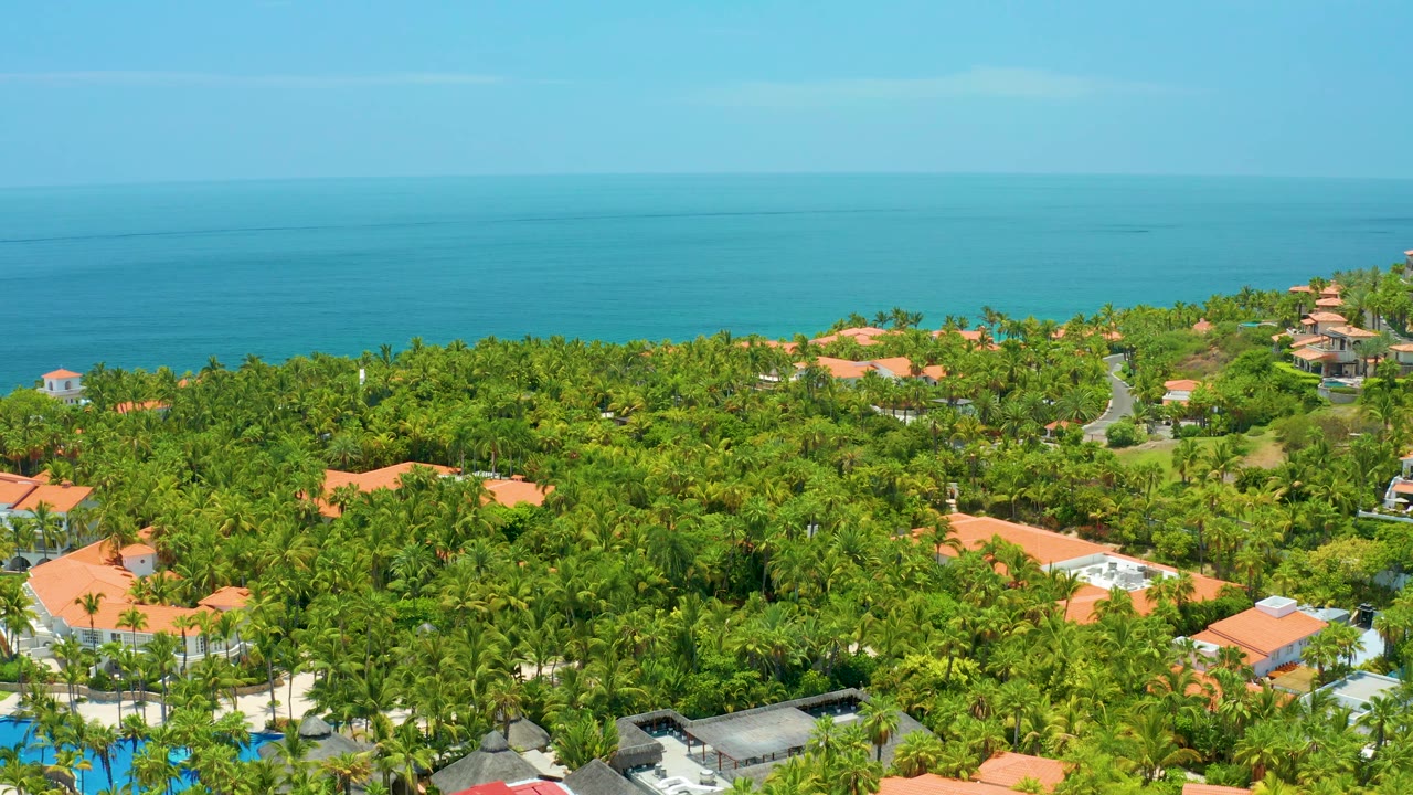 Palmilla Beach aerial frame with lush green trees filling the lower frame, terracotta rooftops in the midground, turquoise ocean across the upper half, and no visible people.
