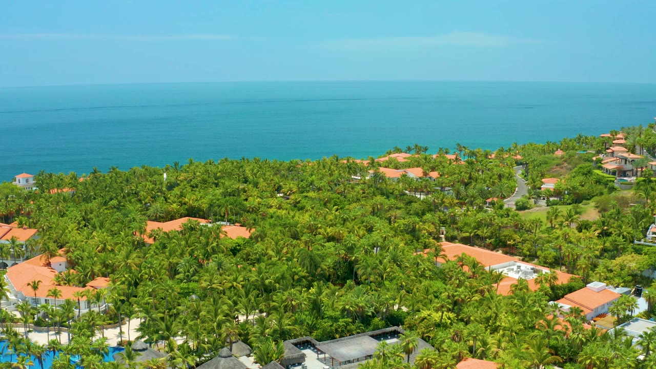 Elevated coastal view with palms, rooftops, road, and open sea.