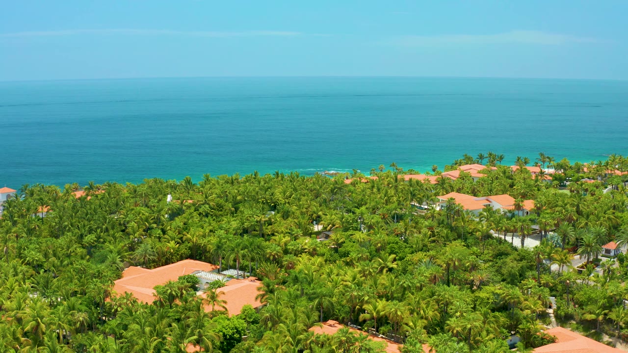 Palmilla Beach aerial frame with green palm canopy in the foreground, scattered terracotta roofs, calm turquoise water, a faint shoreline, and no visible people.