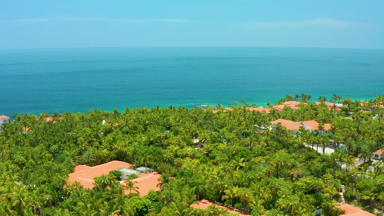 Ocean horizon behind dense palms and low coastal buildings.