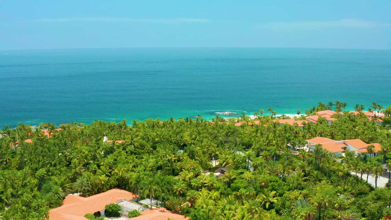 At 0:01, the Palmilla Beach view holds on a broad blue ocean horizon above a thick green palm canopy and scattered orange roofs, with no visible people.