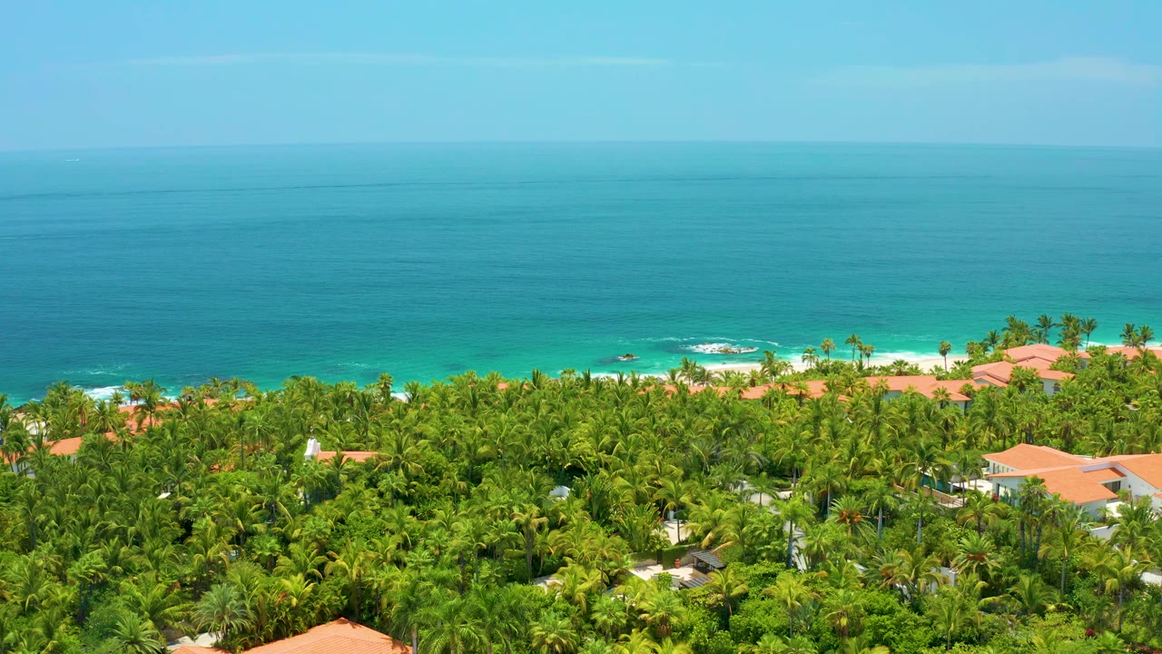 Palmilla Beach aerial frame with dense green palms across the lower half, scattered orange roofs near the shoreline, calm turquoise water, and no visible people.