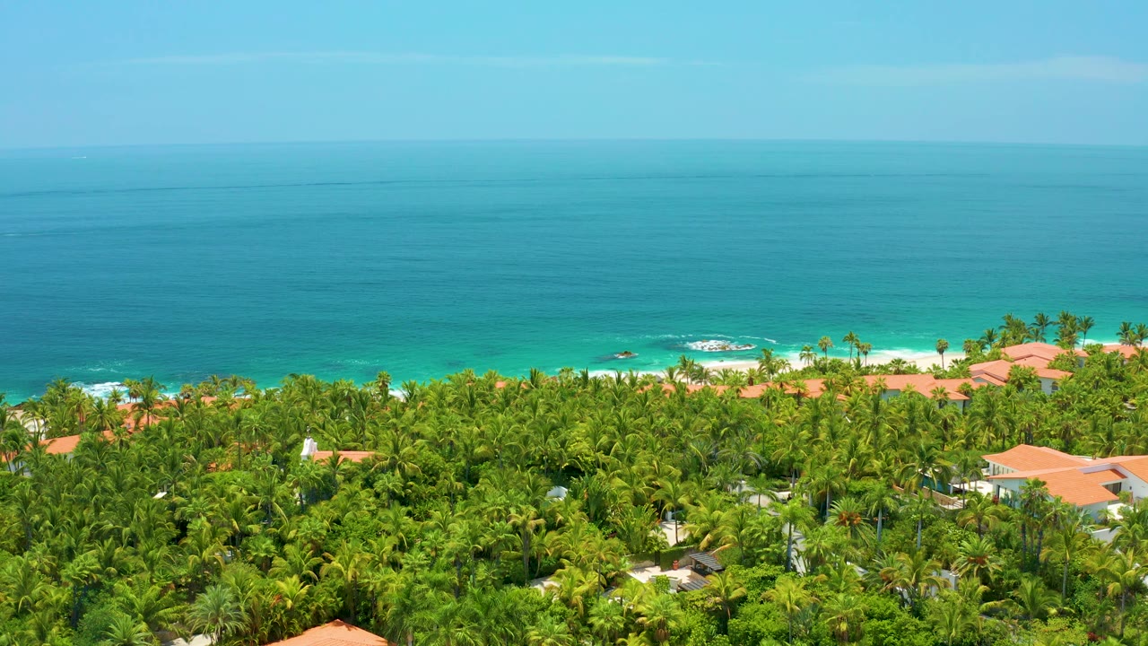 Aerial view over Palmilla Beach showing a broad blue ocean horizon, white waves on the shore, thick palm vegetation, terracotta roofs, and no visible people.