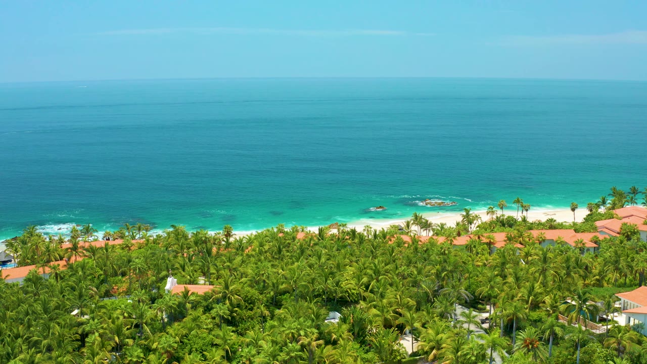 Wide aerial view of trees below a bright blue sea horizon.