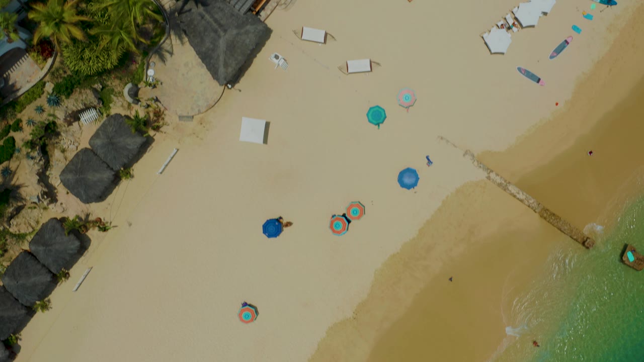 Top-down Palmilla Beach view with palms and thatched roofs at one side, pale sand across the center, beach umbrellas, shoreline water, and tiny distant people.