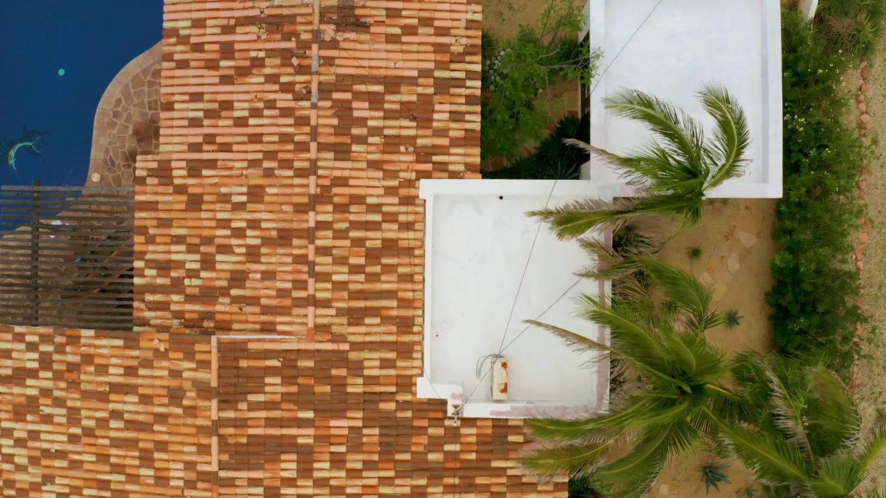 Bird's-eye frame in La Ribera, Baja California Sur, showing the tile roof centered between a blue swimming pool and palm-covered yard areas, with white roof sections and no visible people.