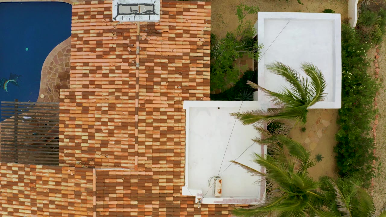 Overhead view of residence roof, pool corner, palms, and garden paths.