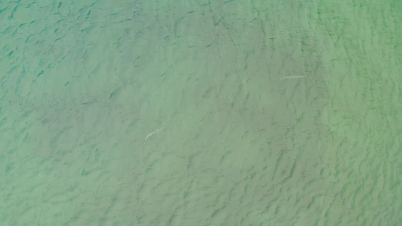 Turquoise shallow water in La Ribera, Baja California Sur, with several faint fish clusters near the top of frame and no visible people.