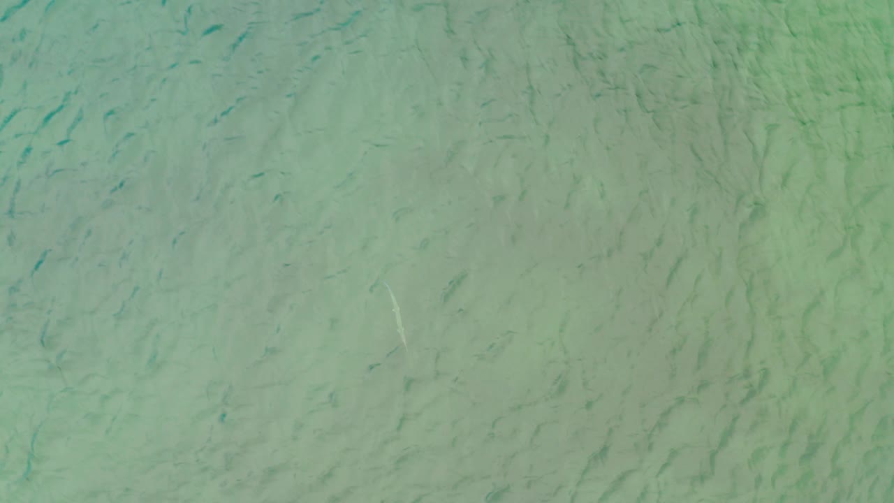 Opening frame of green shallow water in La Ribera, Baja California Sur, Mexico, with soft rippled light over a faint seabed and no visible people.