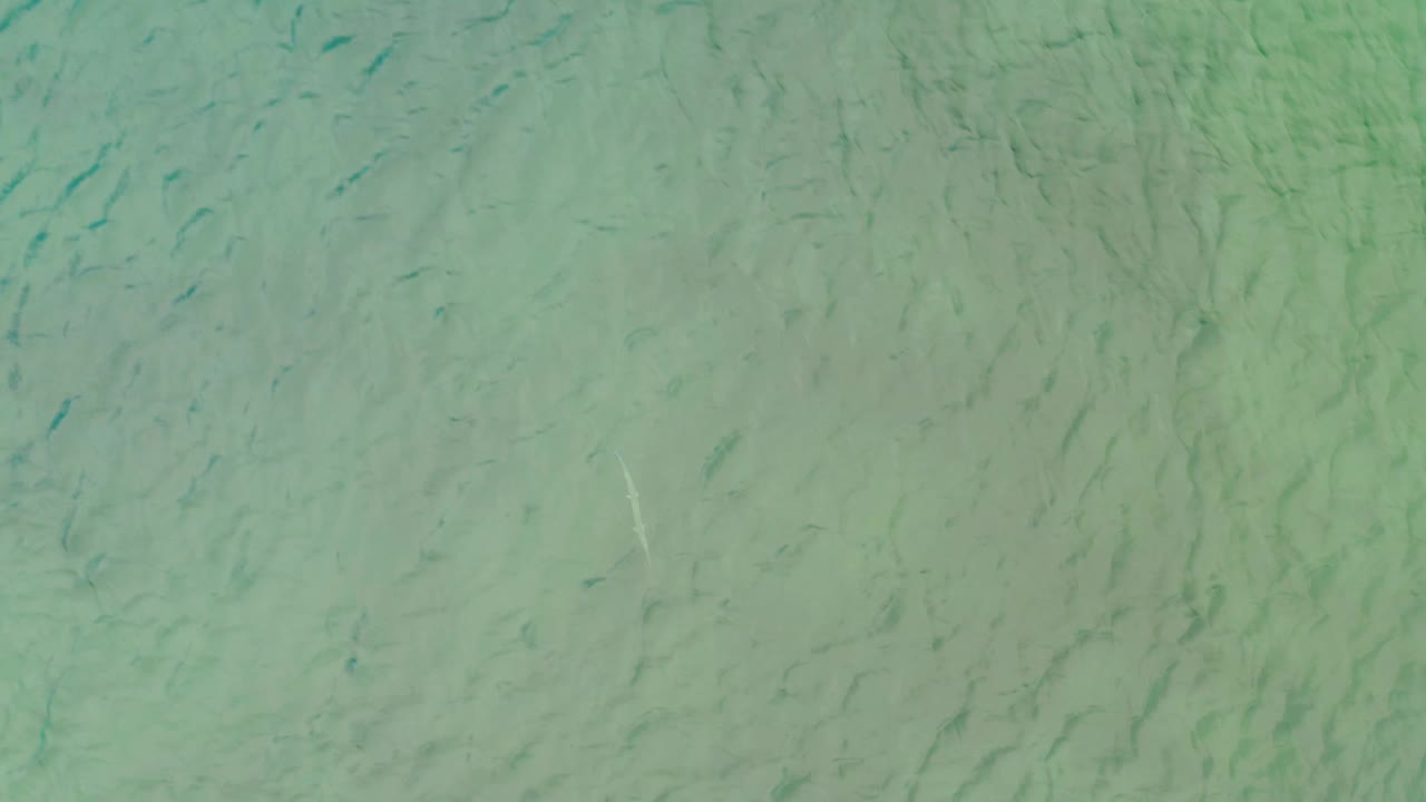 Green-tinted water in La Ribera shows subtle wave distortion, darker seabed markings, and a pale vertical glint with no visible people.