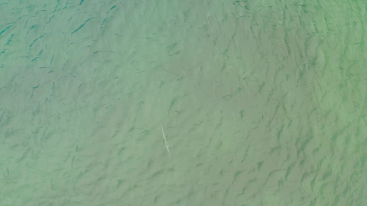 A downward view into La Ribera's green shallow water shows blue-green streaks on the seabed and diffuse natural light, with no visible people.