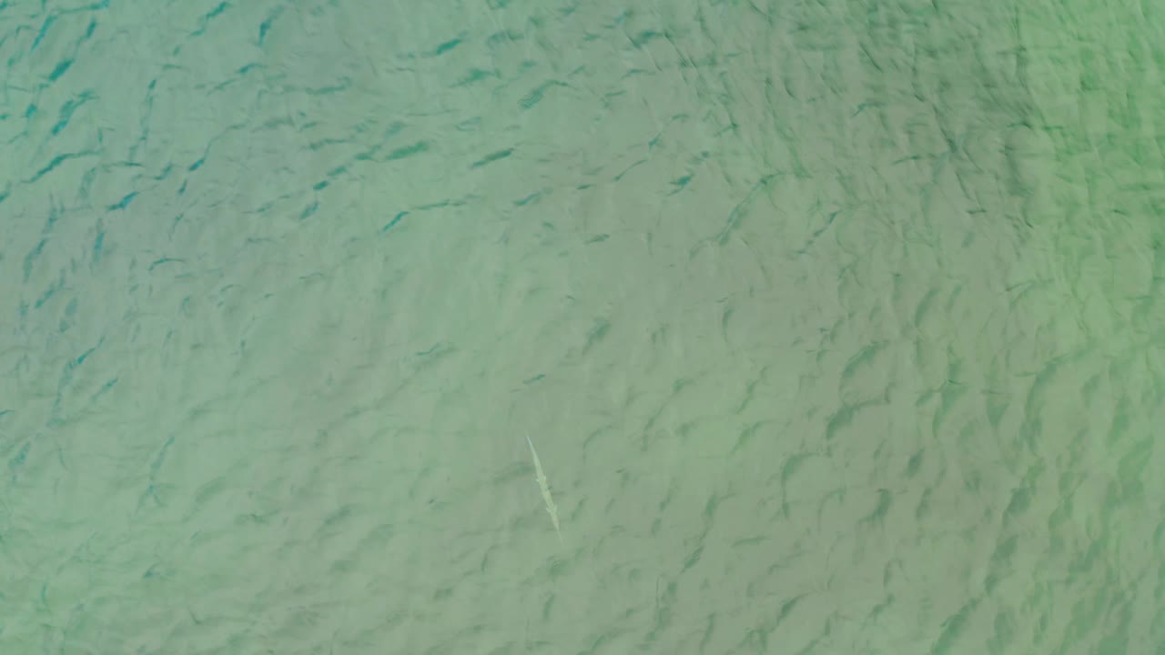 Mid-clip frame from La Ribera with green water, darker underwater shapes, soft ripple highlights, and no visible shoreline or people.