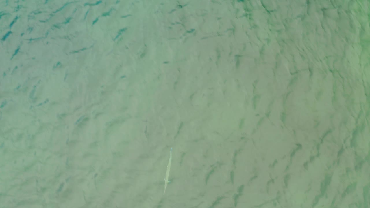 Top-down frame of pale turquoise green sea water in La Ribera, Baja California Sur, with faint sandy ripples and no visible people.