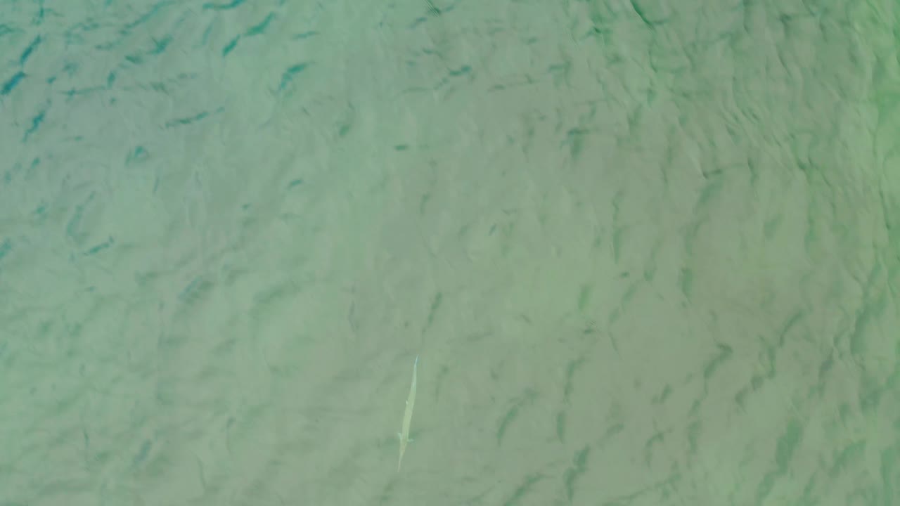 Aerial view of shallow green-blue water in La Ribera, Baja California Sur, with darker ripple lines crossing the sandy bottom and no visible people.