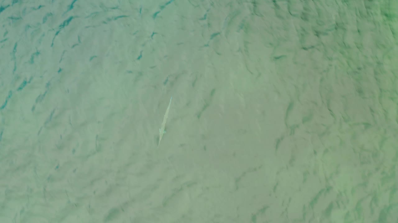 Aerial frame over La Ribera shallow sea water, showing green-blue surface color, underwater ripple texture, and no visible people.
