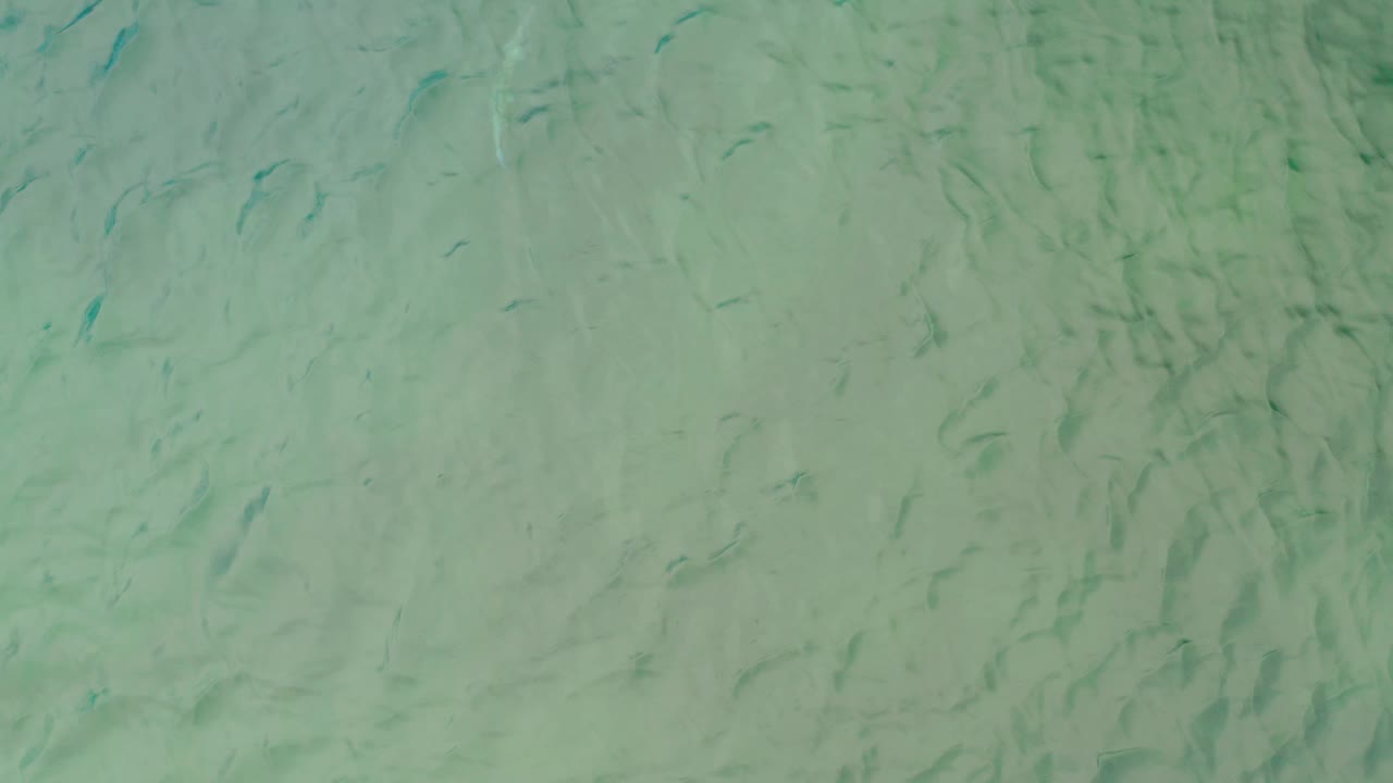 An overhead frame from La Ribera, Baja California Sur shows pale green murky water with faint dark fish-like marks distributed across the view and no visible people.