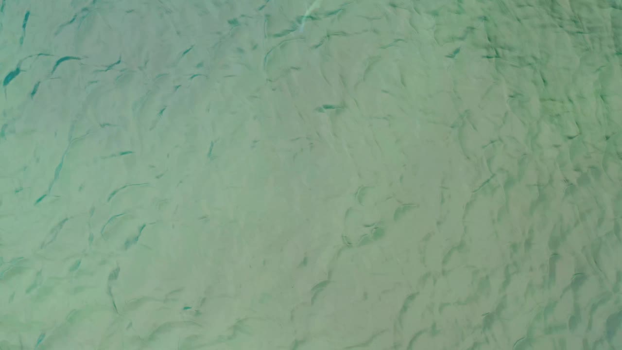 Green water in La Ribera, Baja California Sur fills the frame, with scattered fish-like silhouettes visible through the cloudy surface and no visible people.