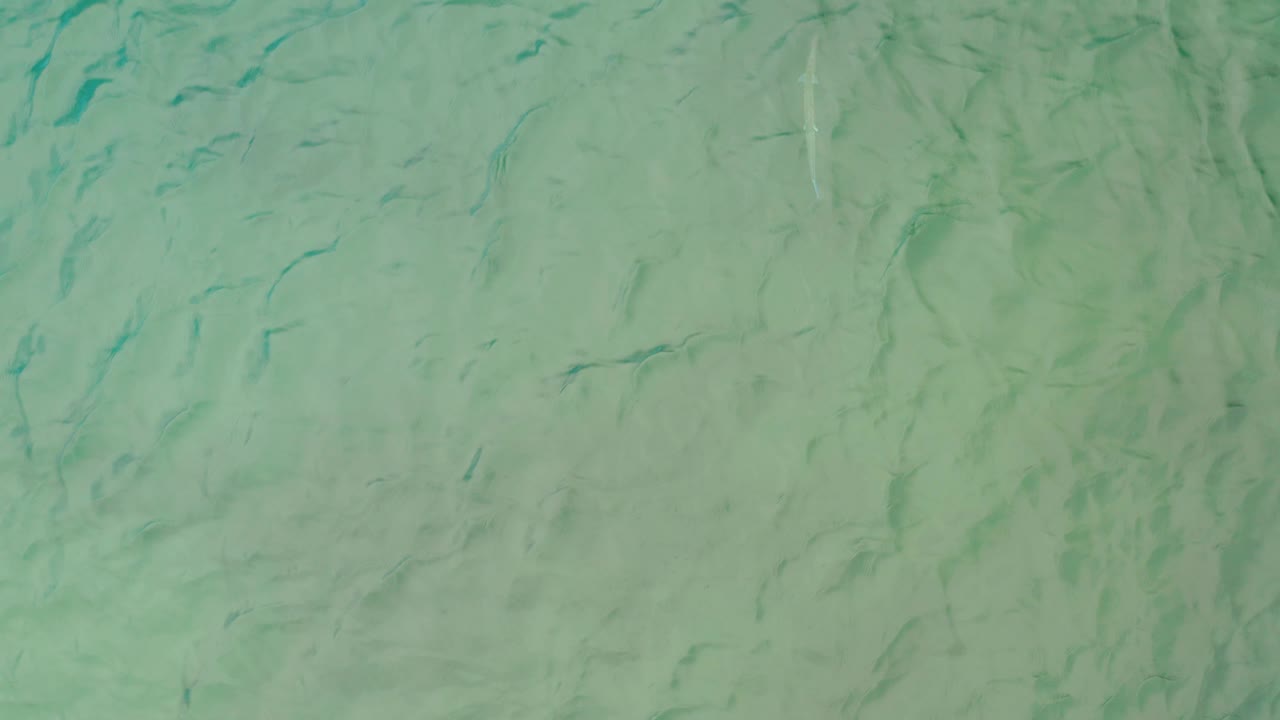 Top-down view of shallow sea water in La Ribera, Baja California Sur, with faint small fish-like forms visible beneath soft surface ripples and no visible people.