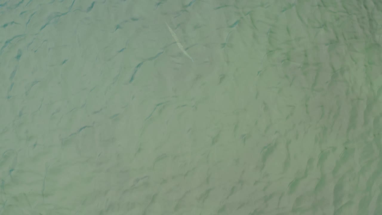 Mid-clip overhead frame of shallow green ocean near La Ribera, with many small dark fish-like shapes visible as fine marks and no visible people.