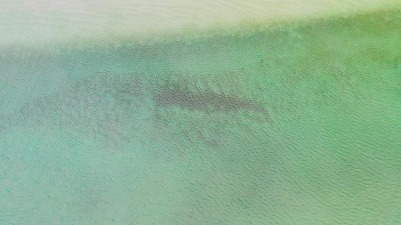 Aerial frame of green-blue shallow water in La Ribera, Baja California Sur, showing fine ripples, sandy bottom, and a darker submerged texture line, with no visible people.