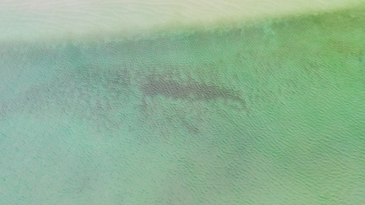 Aerial view over shallow green-tinted water in La Ribera, Baja California Sur, where darker seabed streaks sit beneath a smooth field of ripples, with no visible people.