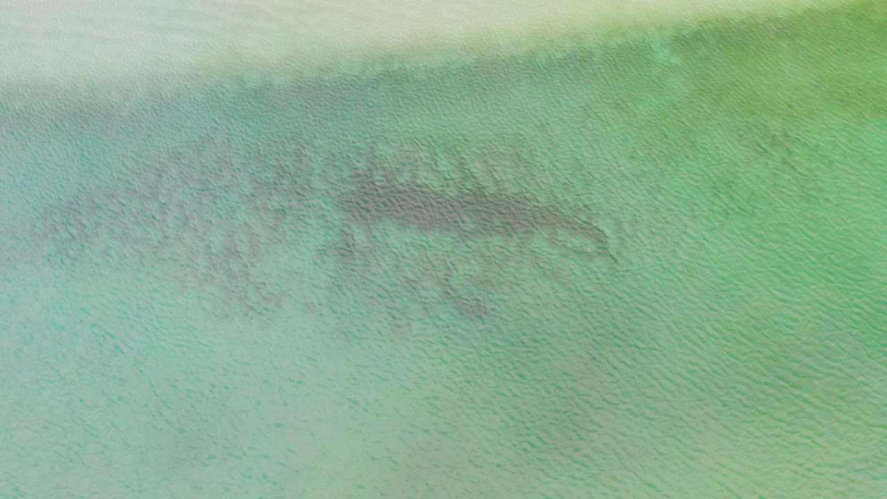 Aerial frame over pale green-blue water in La Ribera, with a darker irregular coral or rock patch crossing the upper middle and no visible people.