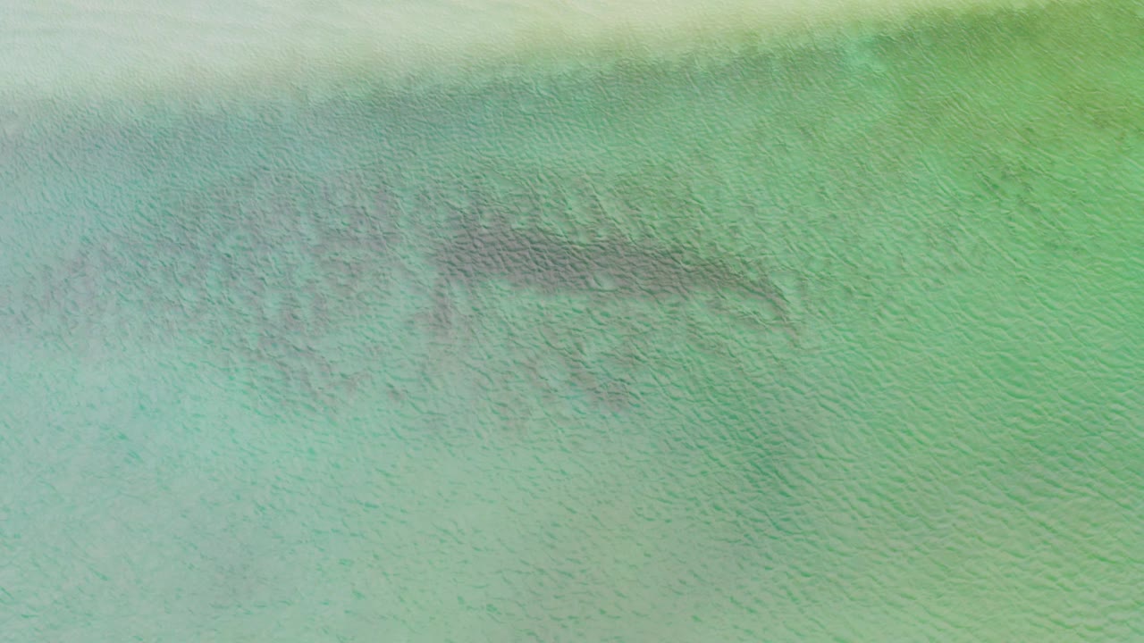 Overhead La Ribera water view with green and aqua tones, a dark seabed formation near the top center, and no visible people or structures.